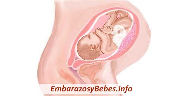 Semana 42 de Embarazo